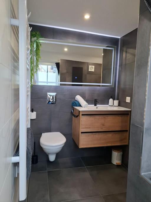 Bel Appartement, Selestat Exterior photo