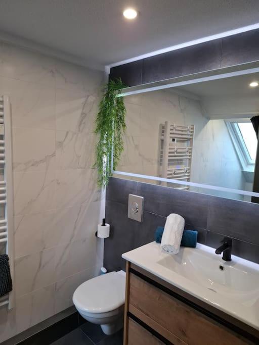 Bel Appartement, Selestat Exterior photo